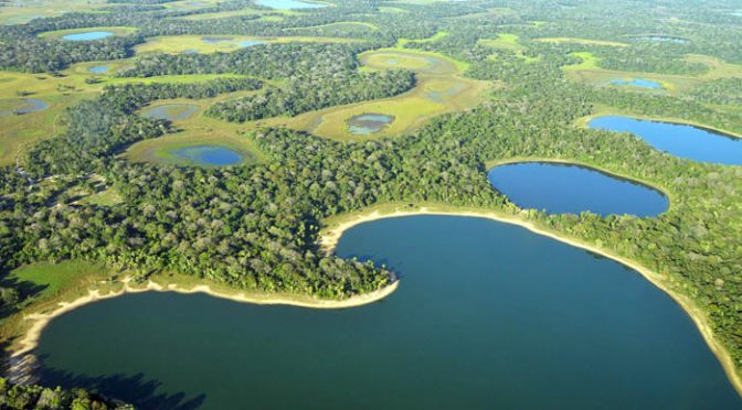 Paisagem do Pantanal, composta por vários lagos e vegetação densa nas margens. Fonte: Agraer.
