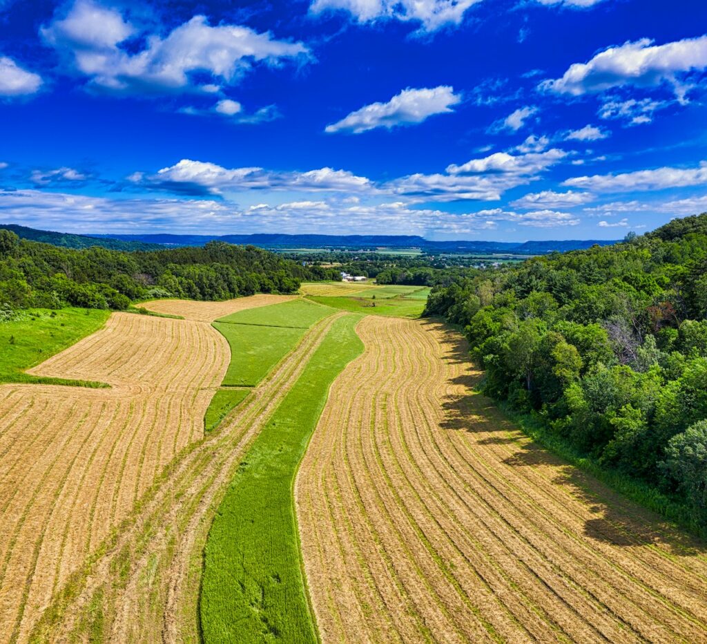 Distribuição e equilíbrio entre a atividade produtiva e a preservação da vegetação nativa na reserva legal.